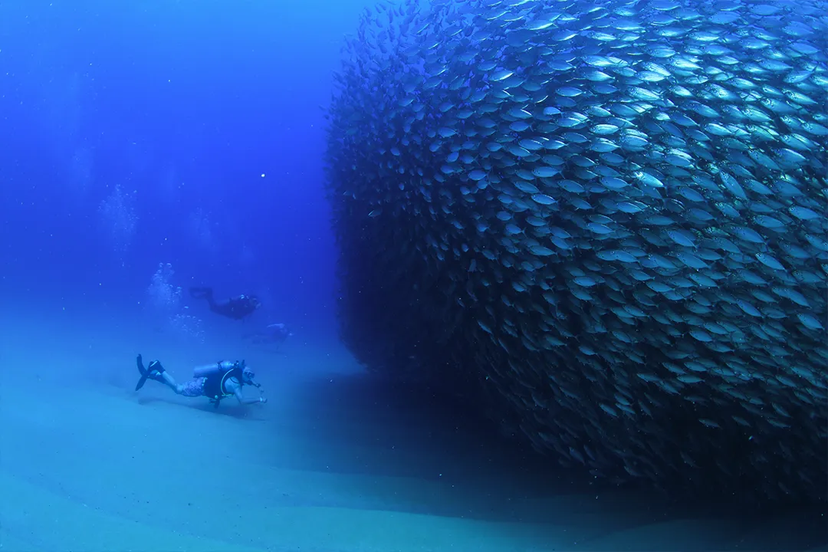 THINGS TO DO IN CABO PULMO