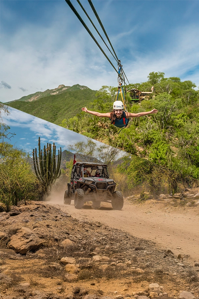 Woman ziplining over lush terrain and an off-road vehicle driving on a dusty trail through desert vegetation.