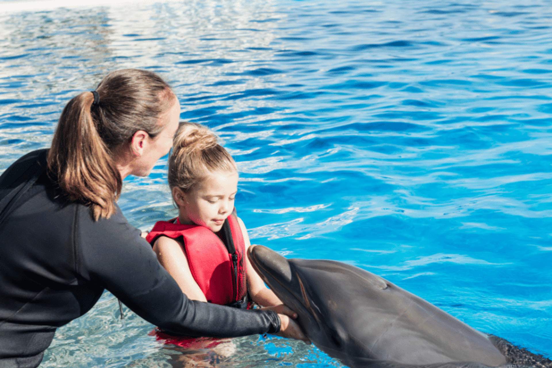 A young girl in a red life jacket interacts with a dolphin in a pool, supervised by an adult woman. The scene is set against the bright blue water, highlighting a joyful and educational moment at a marine park or dolphin encounter program.