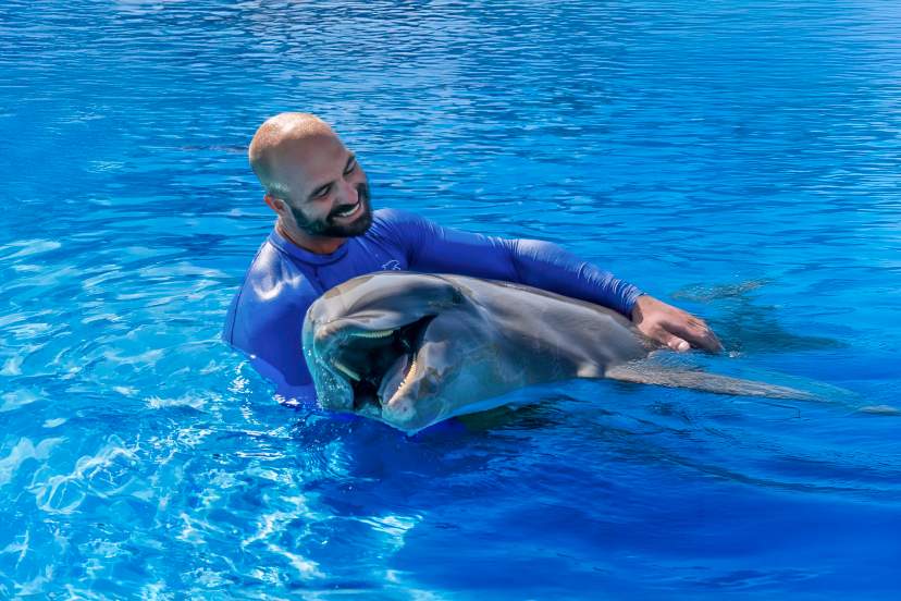 Man in a blue shirt smiling while holding a dolphin in a pool, both appearing happy and relaxed in the bright blue water.
