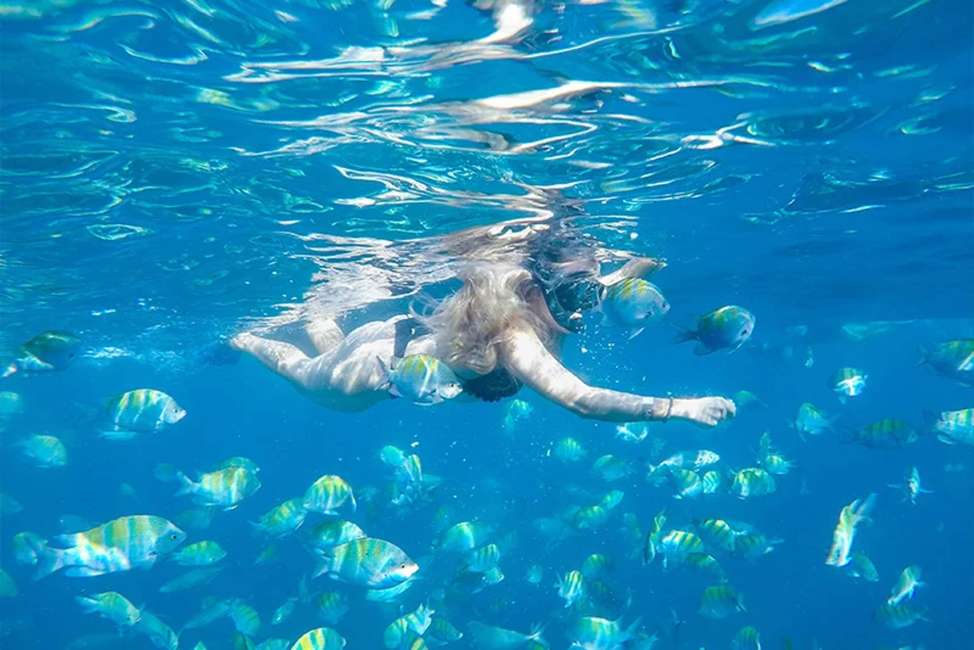 A woman snorkels in crystal-clear blue water surrounded by vibrant, colorful fish. The sunlight filters through the water, creating a serene and immersive underwater scene.