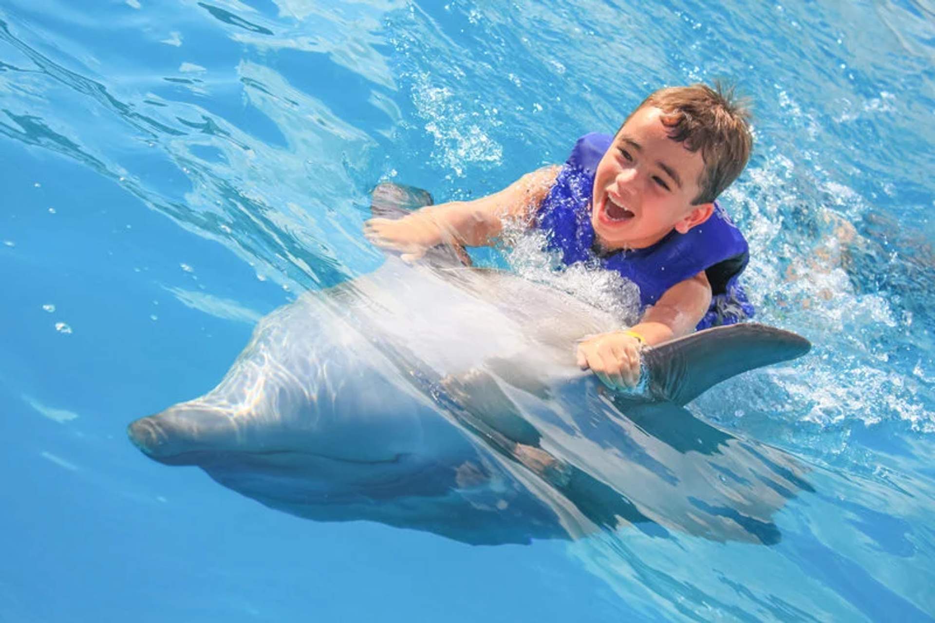 A young boy wearing a blue life vest joyfully rides on the back of a dolphin in clear blue water, creating a lively and heartwarming scene. The boy's excitement and the dolphin's calm demeanor highlight their playful interaction.