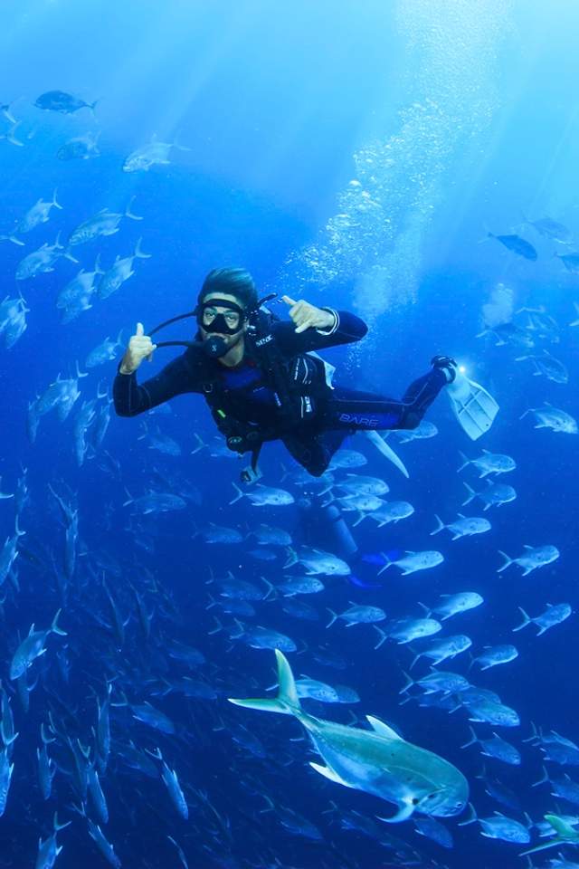 A scuba diver underwater surrounded by a school of fish, giving a thumbs-up, with sunlight streaming down through the water.