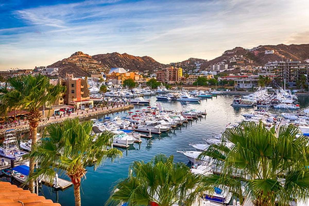 A vibrant marina in Cabo San Lucas, surrounded by palm trees and colorful buildings, with numerous yachts and boats docked in the water. In the background, rugged hills rise under a clear, blue sky, highlighting the scenic beauty of this popular tourist destination.