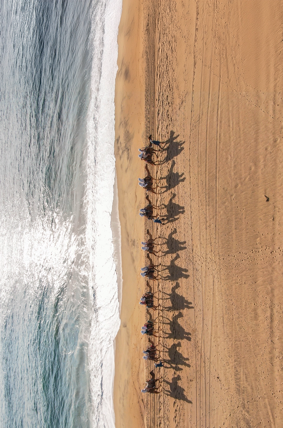 Group of people riding camels in a line, guided by a guide, in a desert landscape