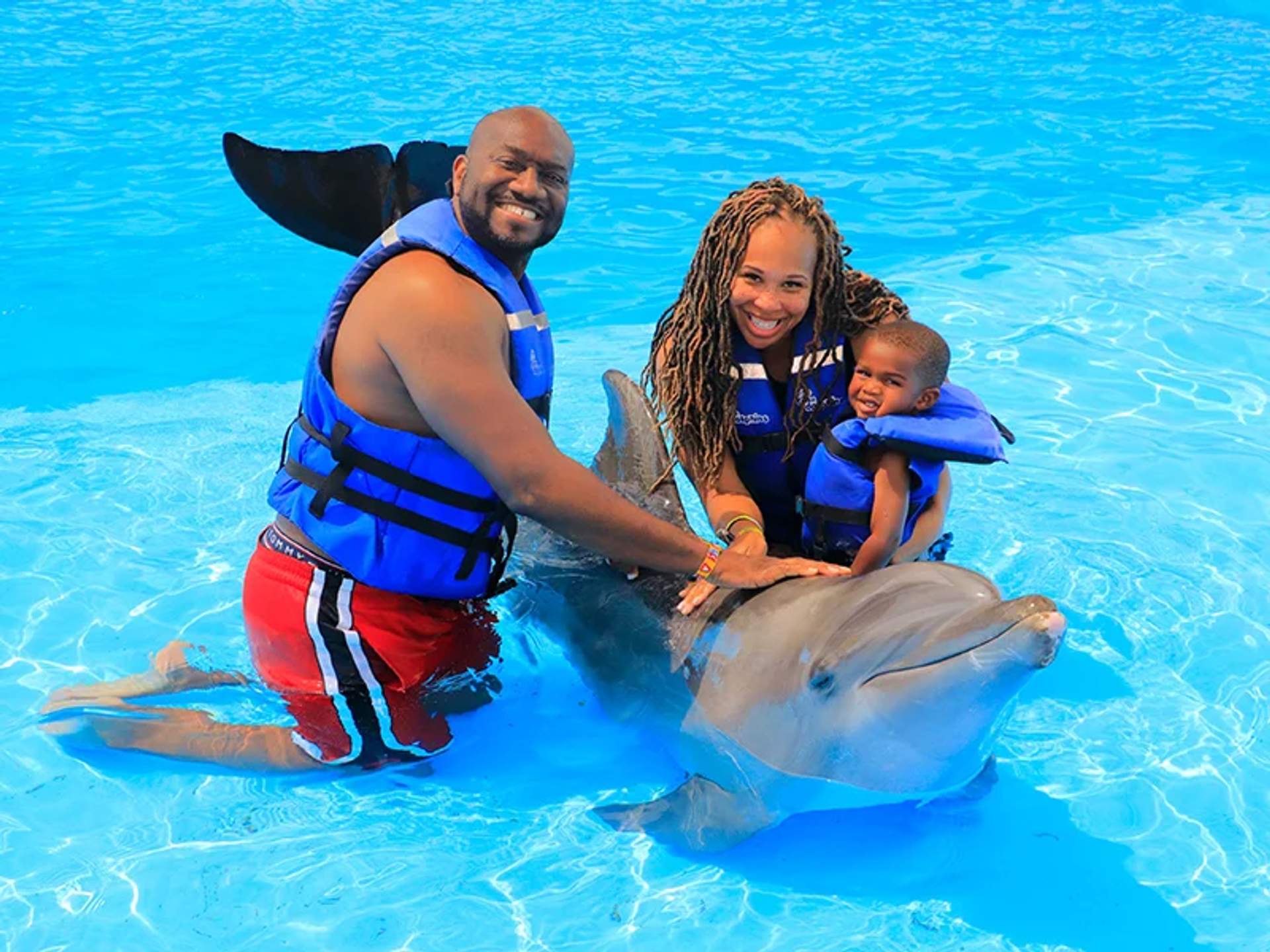 A family of three, all wearing blue life vests, enjoys their time in a bright blue pool with a dolphin. The father and mother, both smiling, hold the dolphin, while their young child sits on the dolphin's back, also smiling and looking delighted.