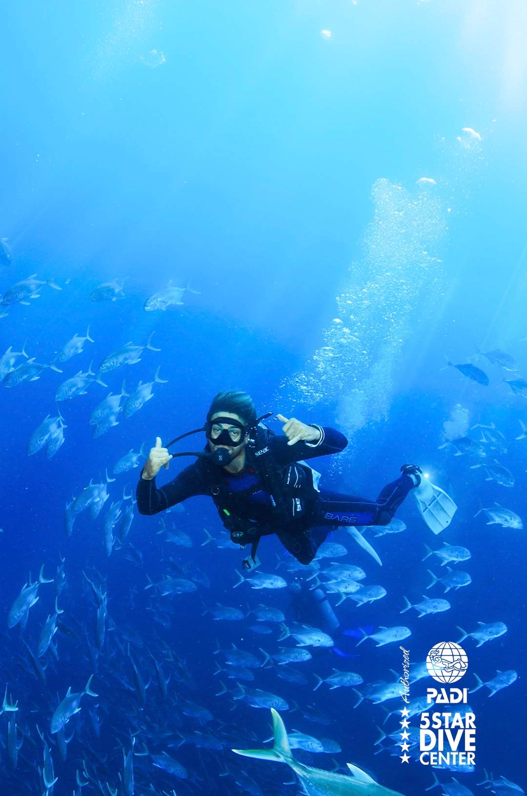 A scuba diver underwater surrounded by fish, giving a thumbs-up sign, with sunlight streaming down through the water.