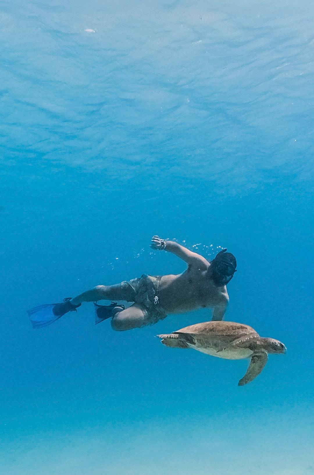 A snorkeler swimming underwater alongside a sea turtle in clear blue water.