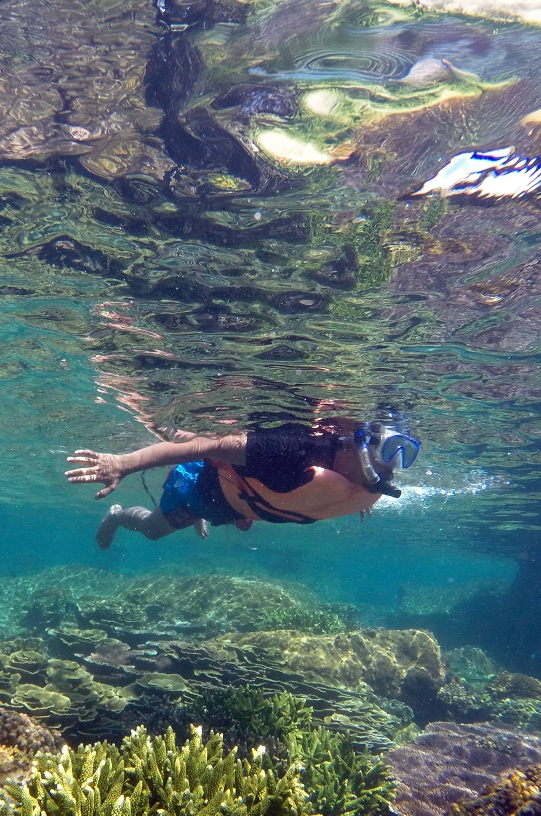 A snorkeler swims above a vibrant coral reef in clear water, wearing a life jacket and snorkeling gear.
