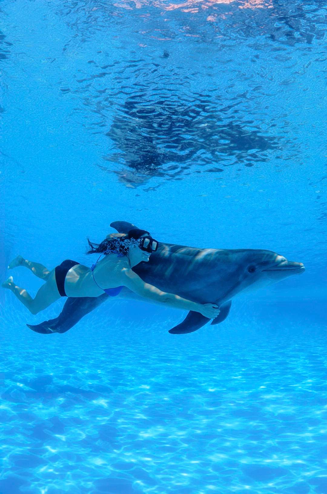 Woman enjoying an underwater dolphin swim in Cabo San Lucas.