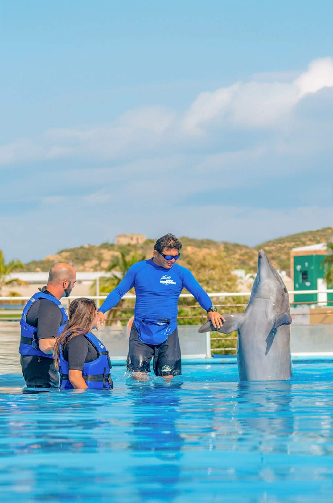 Family learning and interacting during a dolphin swim experience.