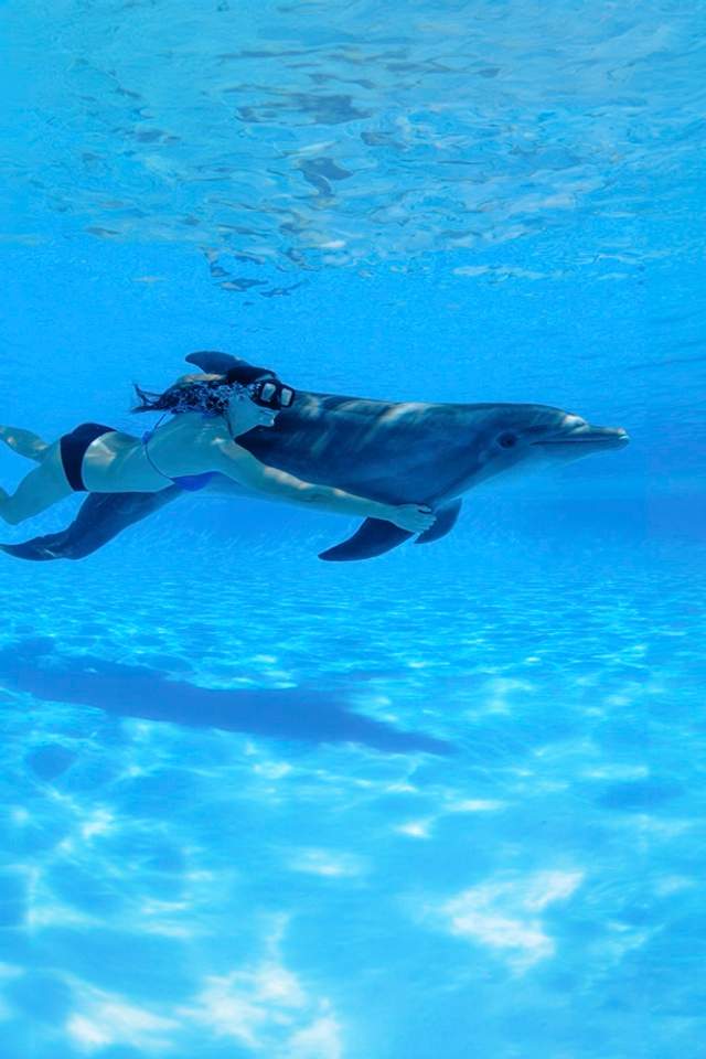 Woman enjoying an underwater dolphin swim in Cabo San Lucas.