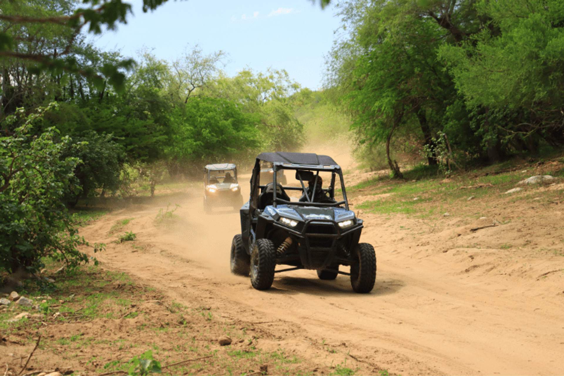 Two all-terrain vehicles (ATVs) driving on a dusty trail surrounded by lush greenery, showcasing an adventurous off-road experience in Cabo San Lucas.