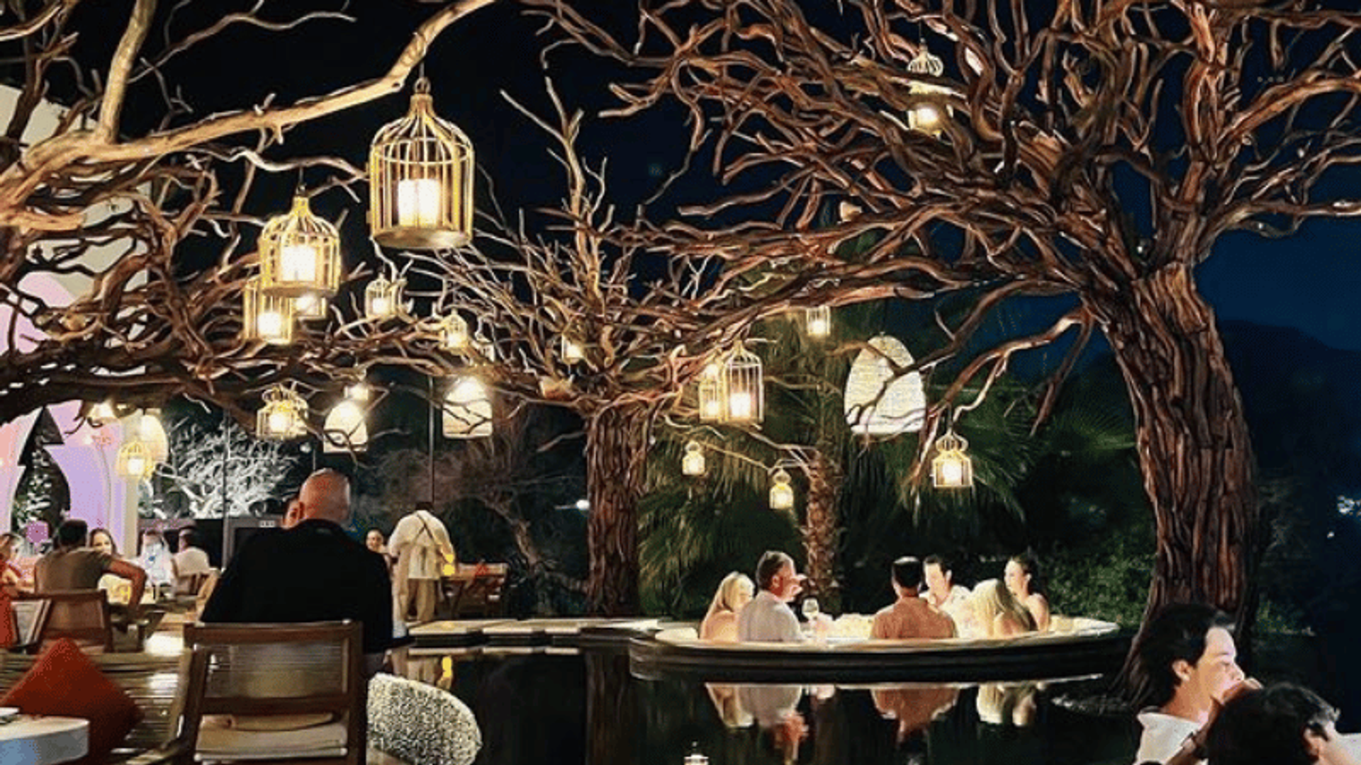 Beautiful dinner under the stars