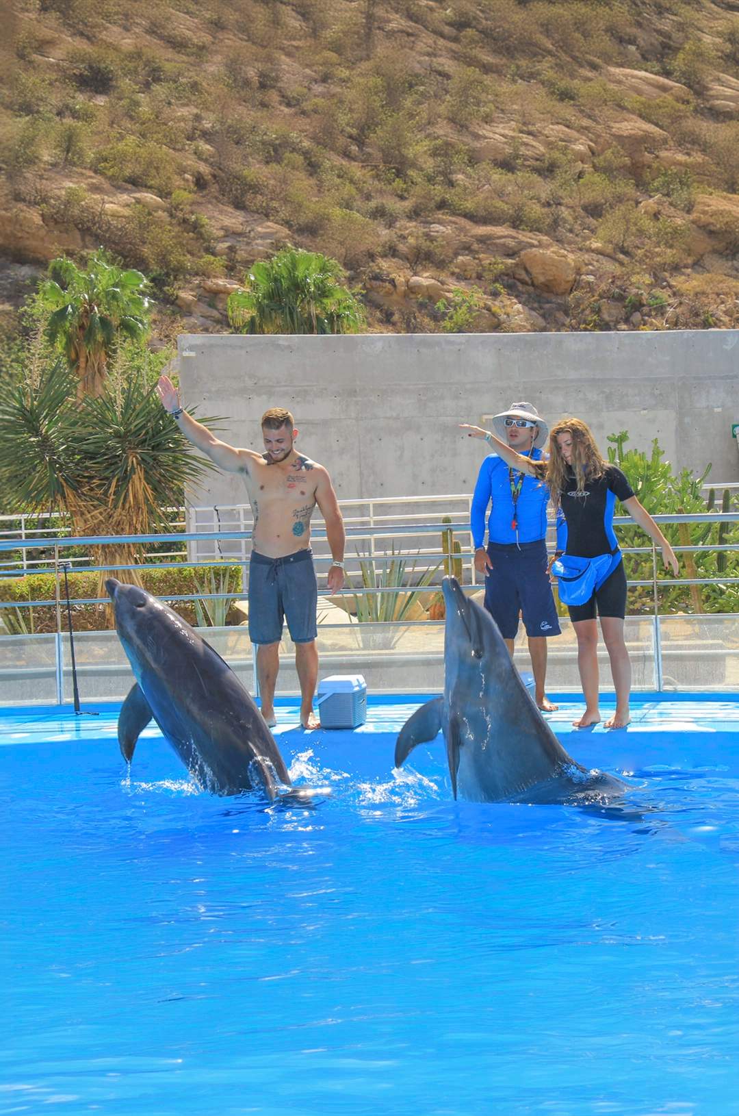 Trainer applying dolphin training lessons with a couple in Cabo.