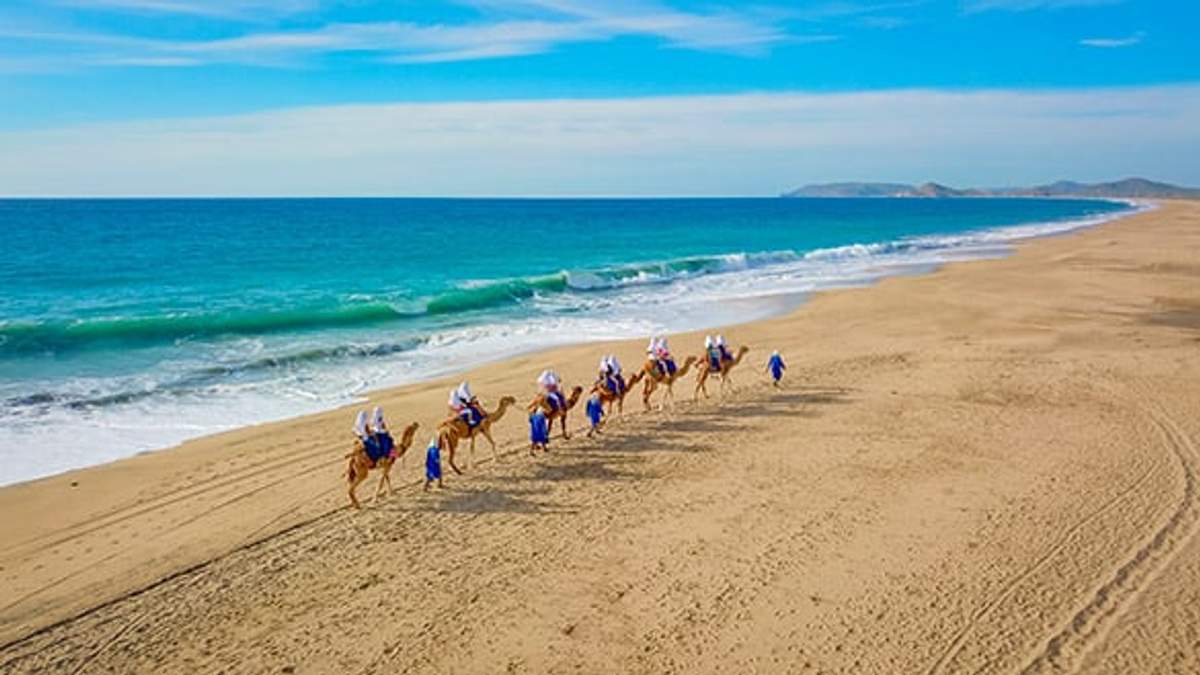 A group of people riding camels along a sandy beach with turquoise waves in Cabo, enjoying a unique adventure.