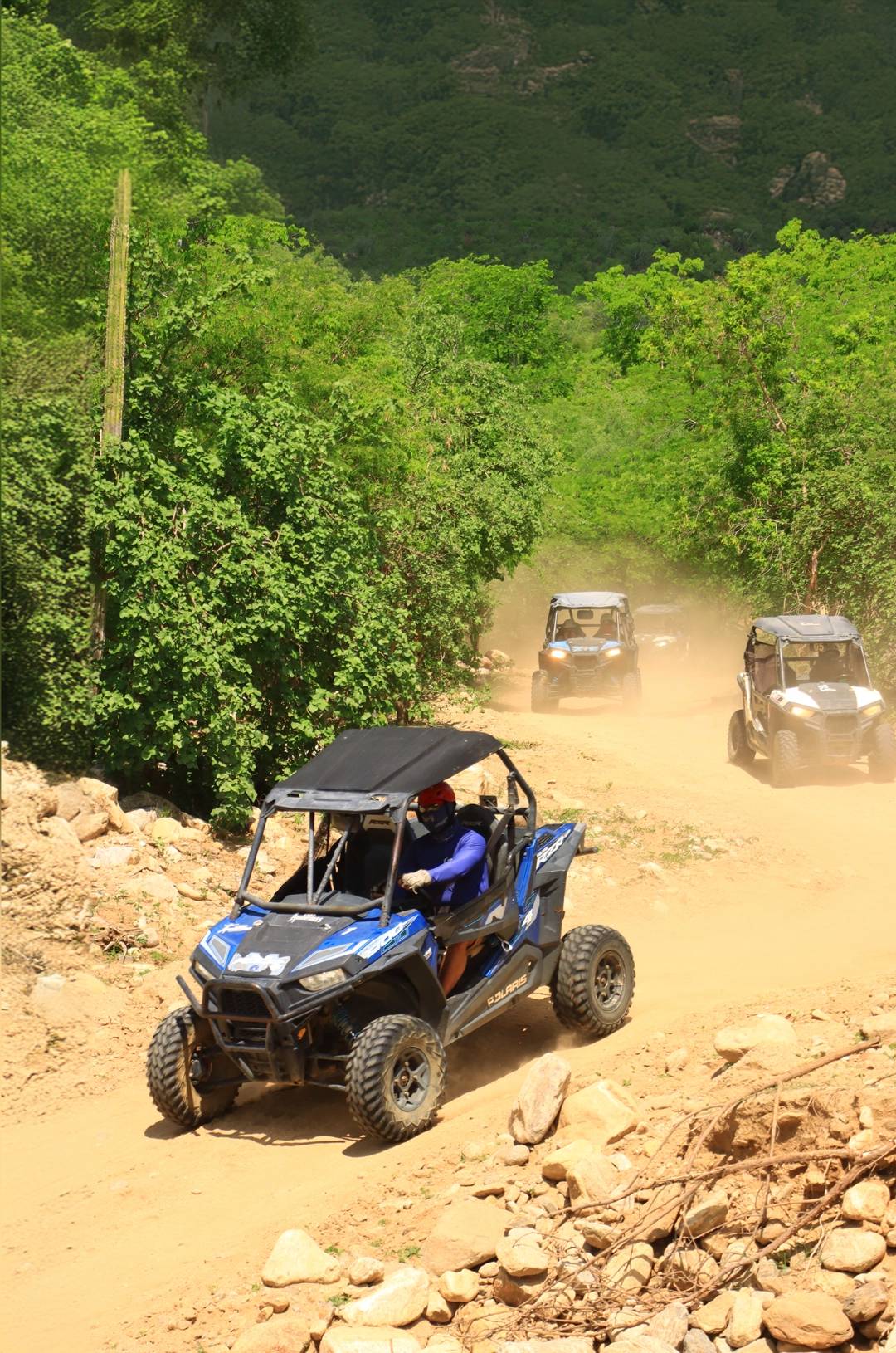 ATVs driving on a dusty trail through a green forest, with the lead vehicle in blue.