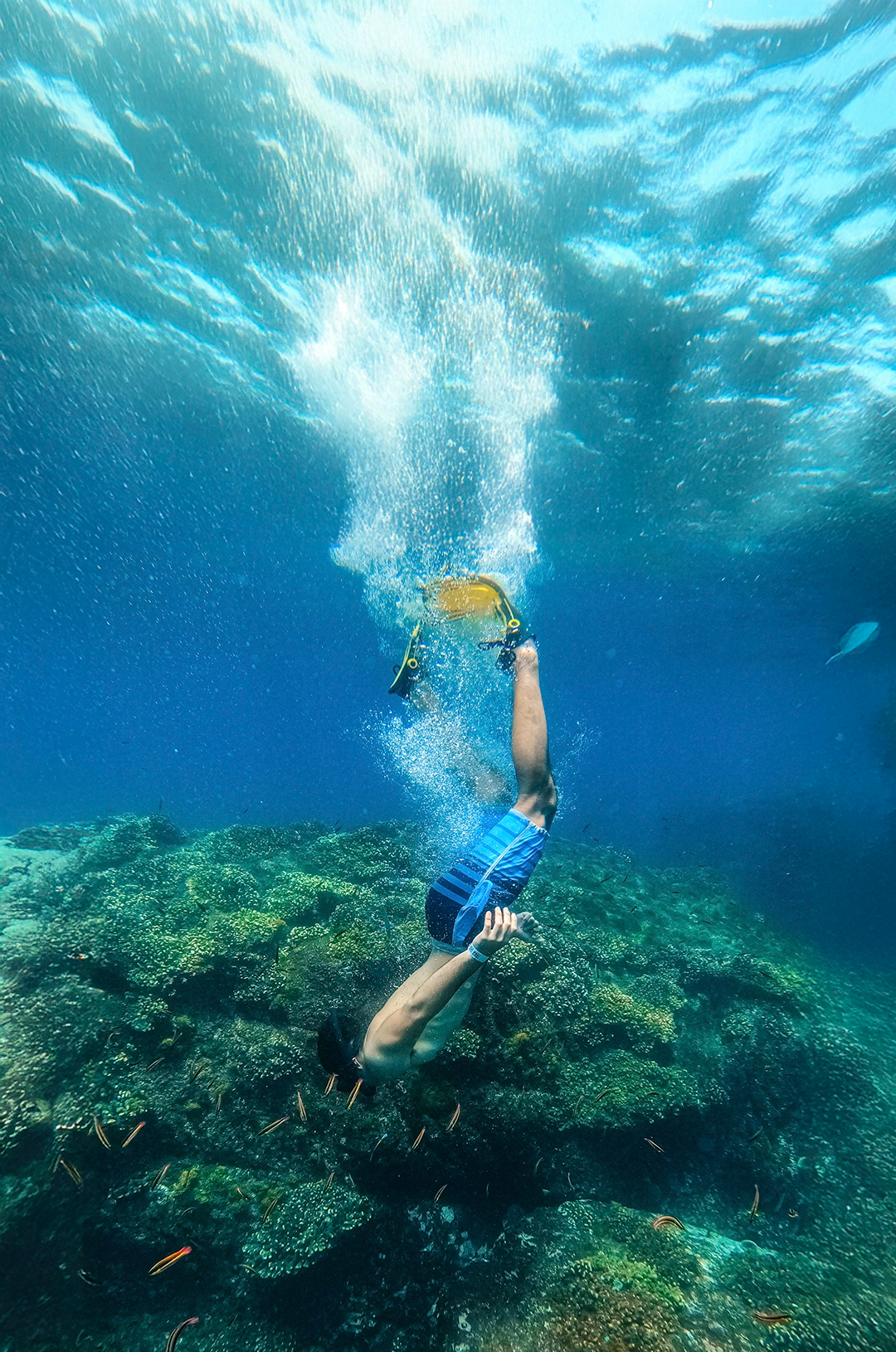 Snorkeler diving deep near vibrant coral reef, creating bubbles in clear blue water, surrounded by small fish.