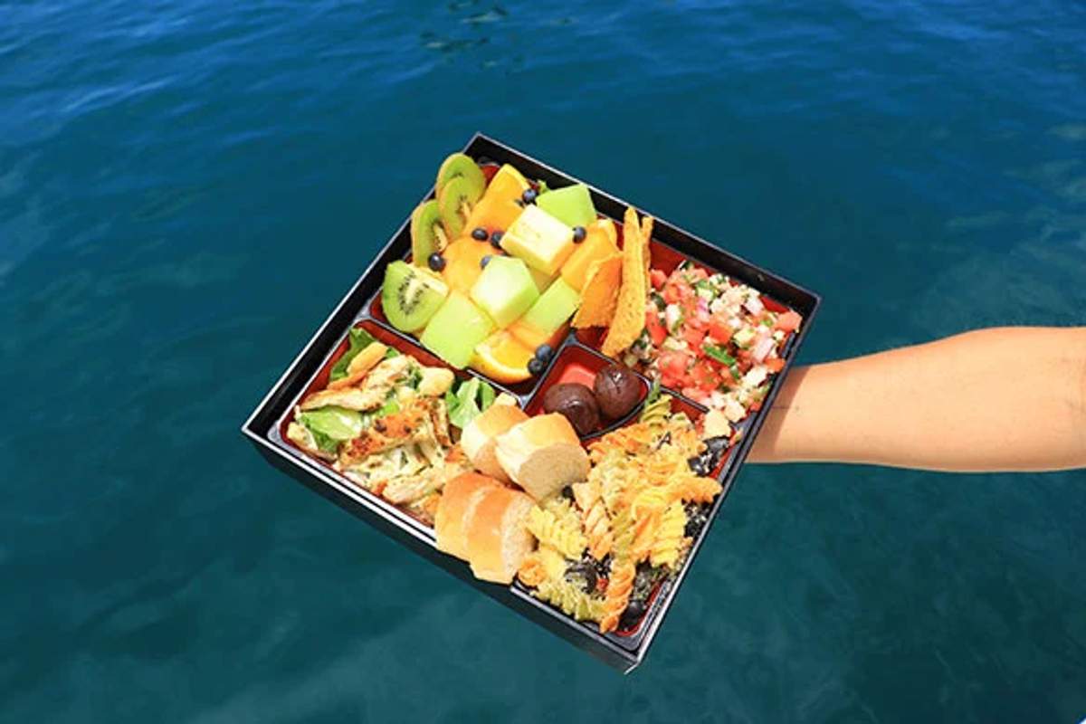 A hand holding a bento box with assorted fruits, vegetables, bread, and pico de gallo, with blue ocean water in the background.