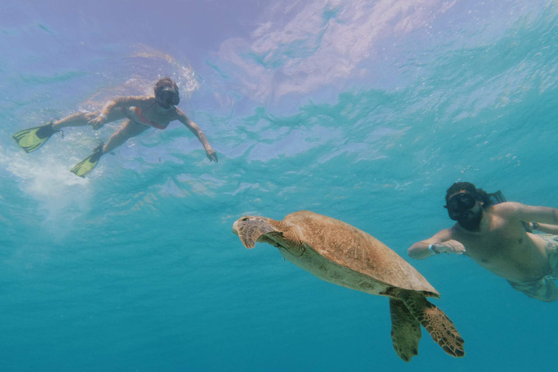 Two snorkelers swimming underwater with a sea turtle in clear blue water, both wearing masks and flippers.