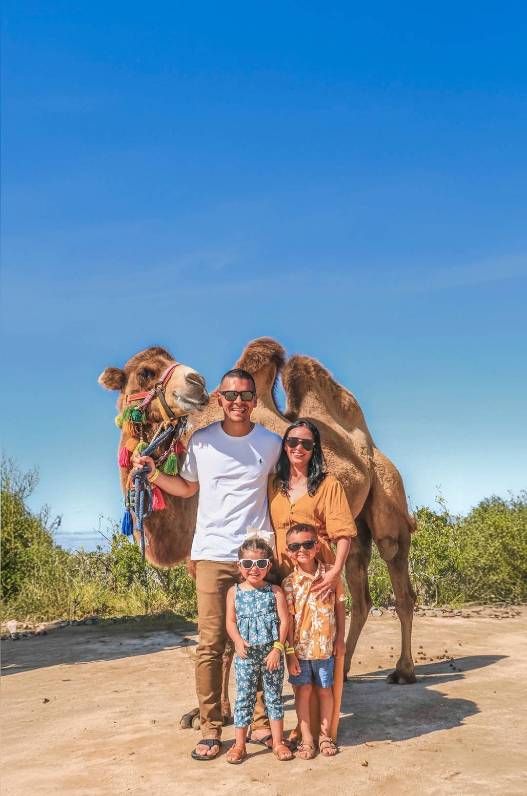 Family happily posing next to a camel in a sunny setting