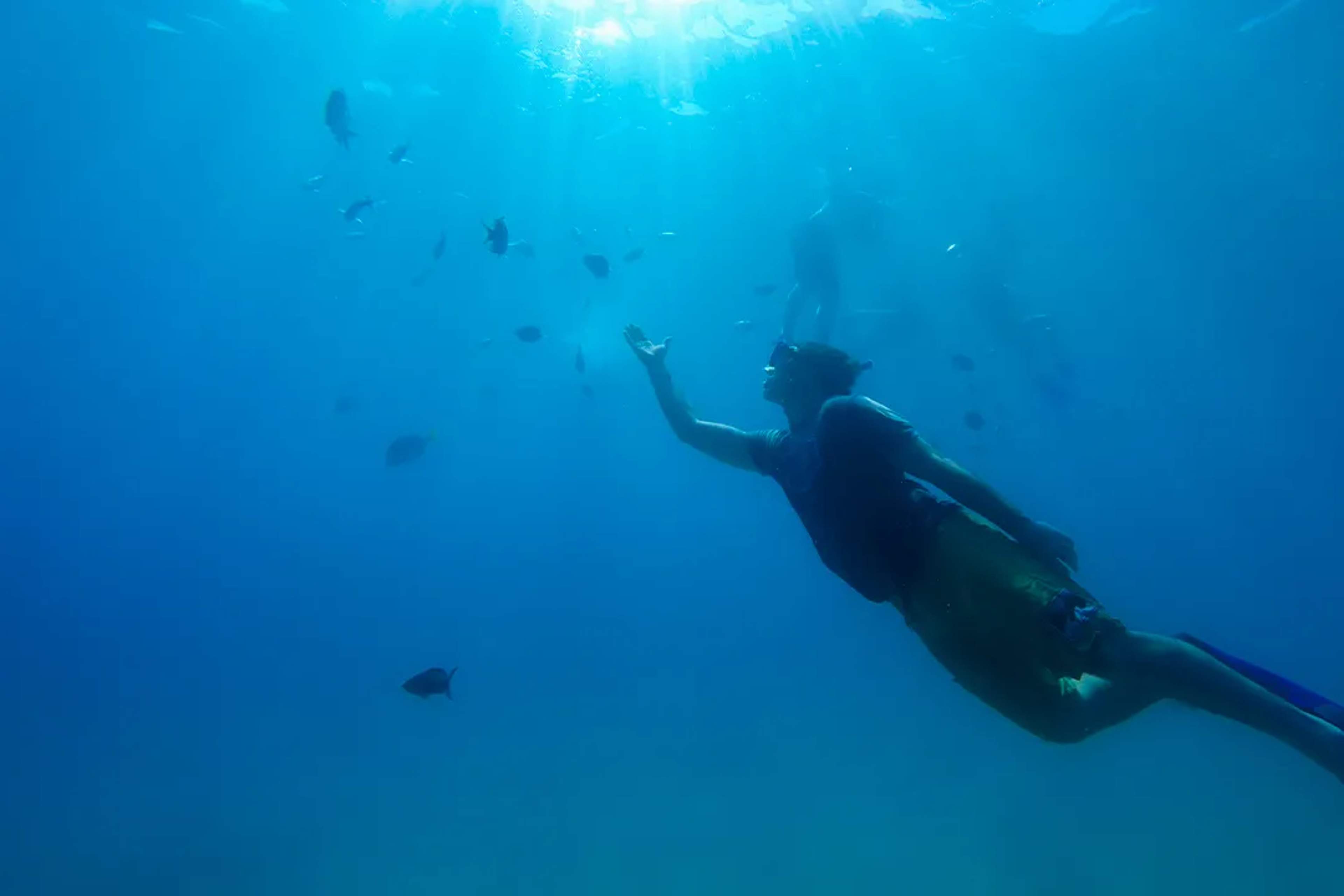 Suggested Trip Schedules For A Cabo Vacation From Expert Cabo Visitors