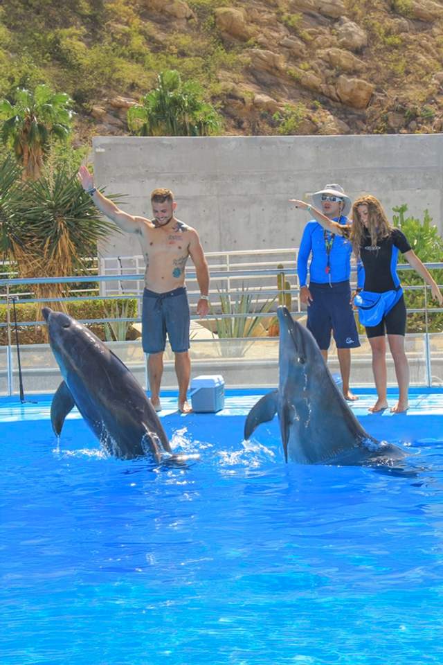 Trainer applying dolphin training lessons with a couple in Cabo.
