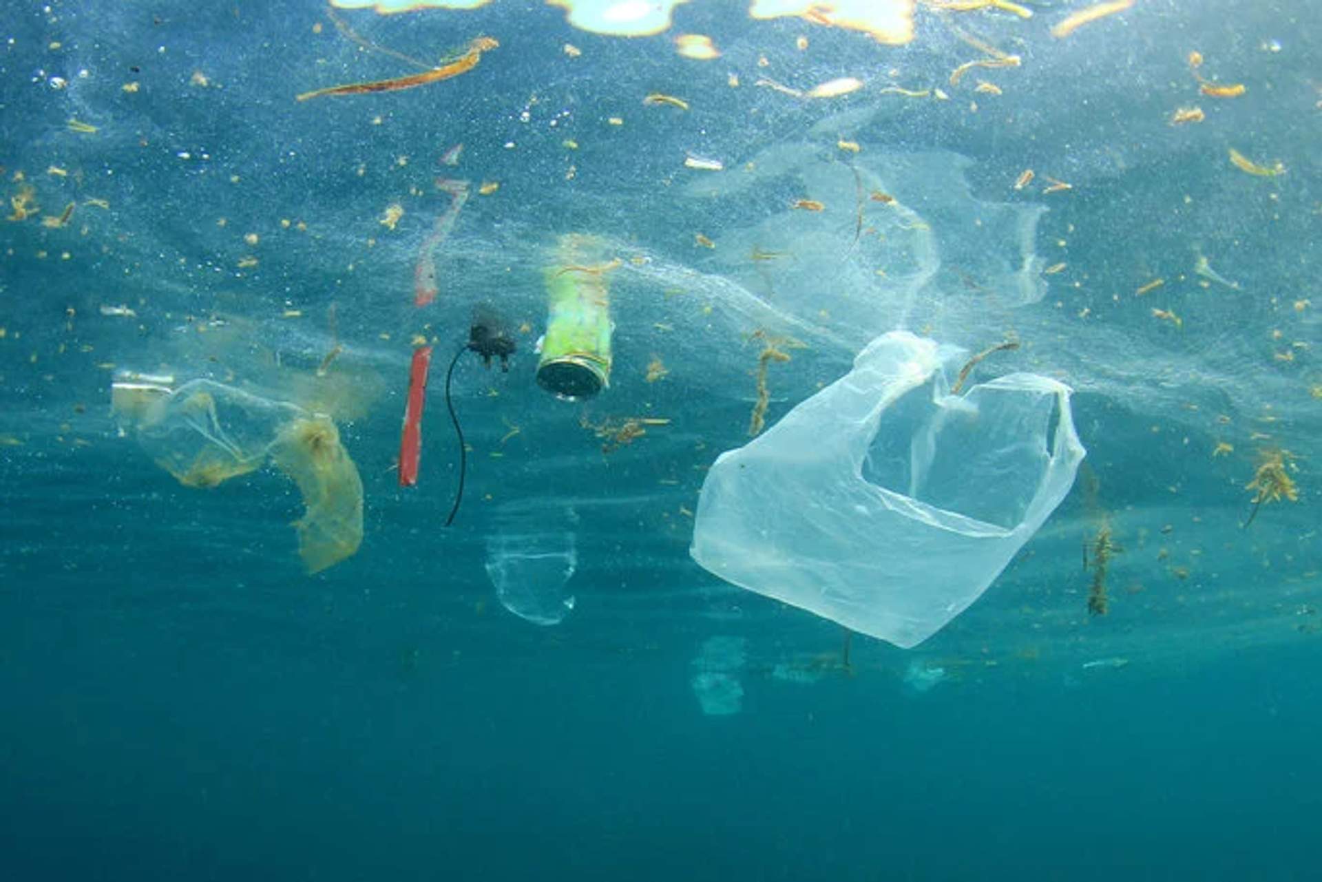 Plastic debris, including bags, bottles, and other trash, floats in the ocean, polluting the water and endangering marine life. The clear blue water contrasts with the various pieces of waste, highlighting the environmental issue of ocean pollution.
