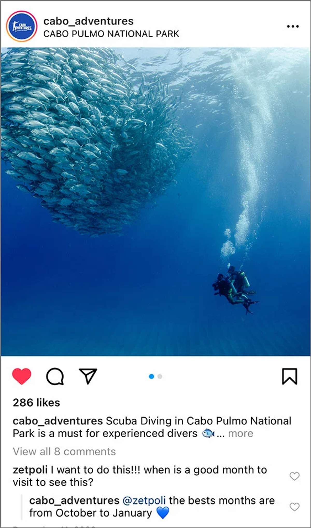 Scuba divers swimming near a large school of fish in Cabo Pulmo National Park's clear blue waters.