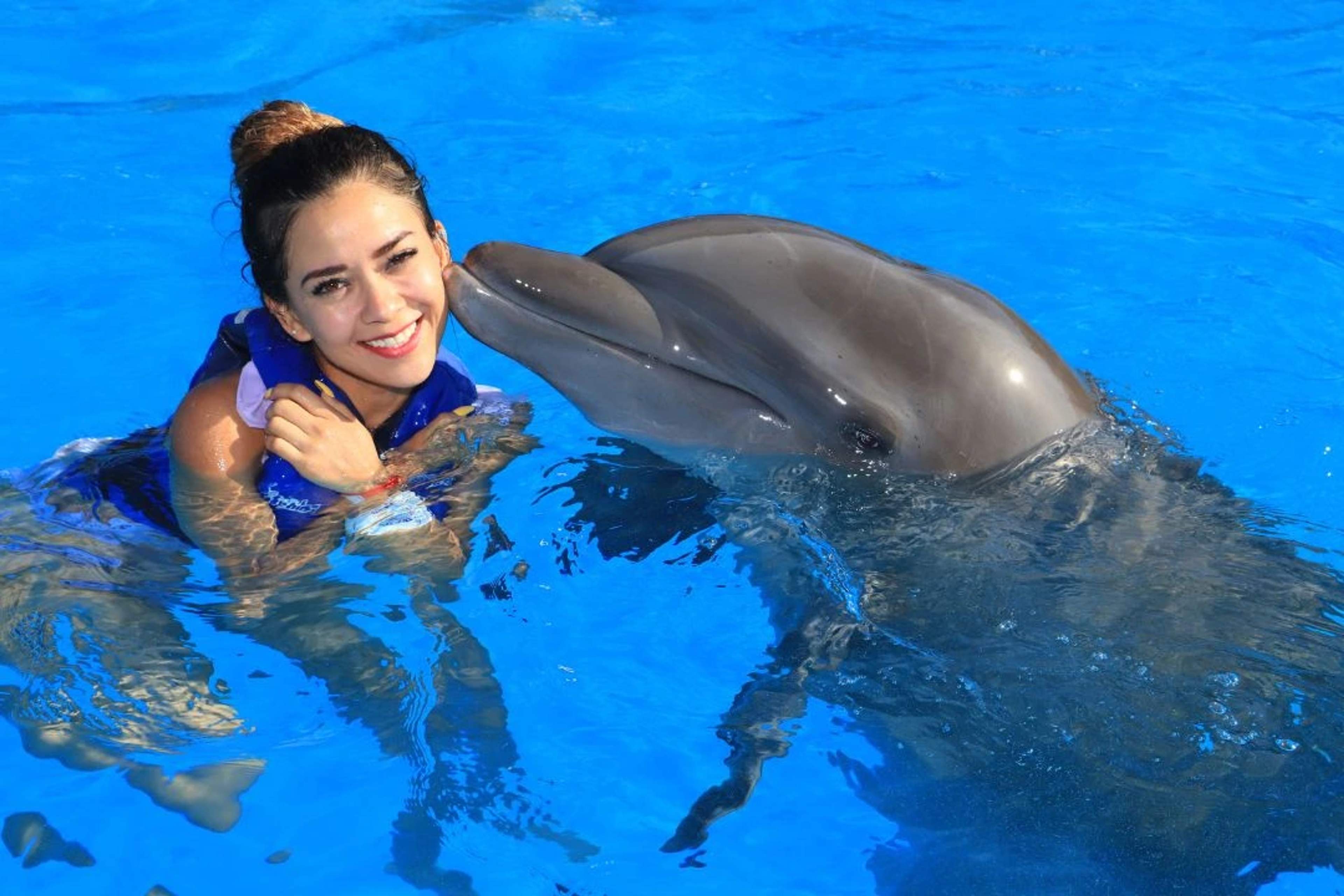 How To Prepare, And What To Wear On A Cabo Dolphin Swim