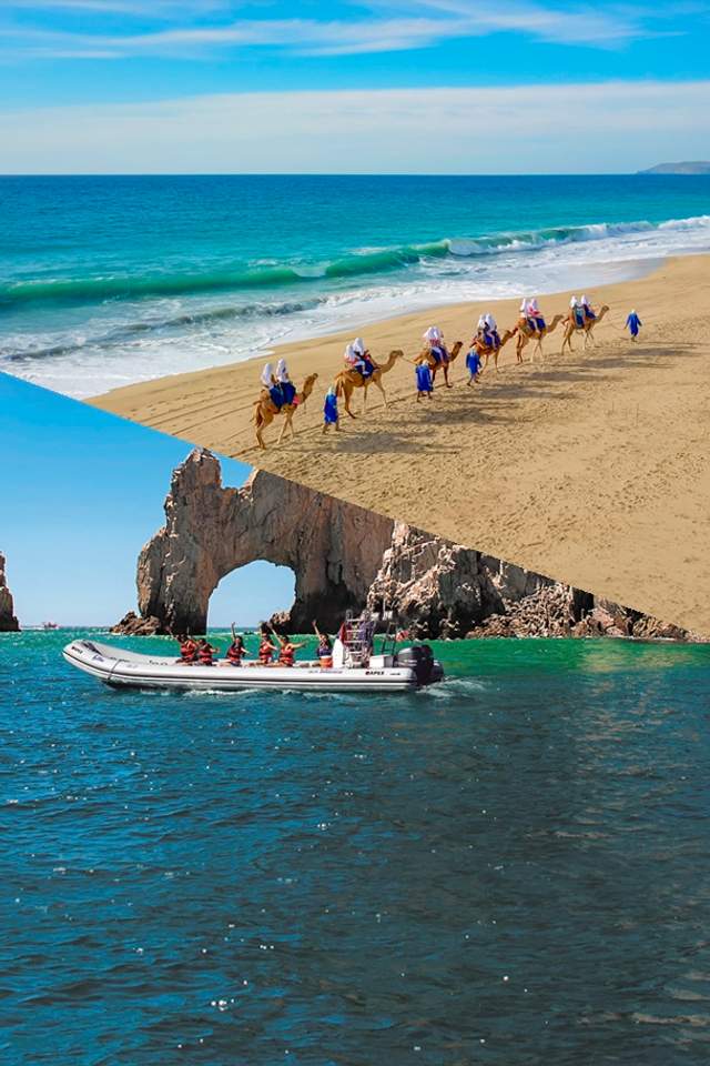 Camels on the beach and a boat in front of the Arch of Cabo San Lucas on a sunny day