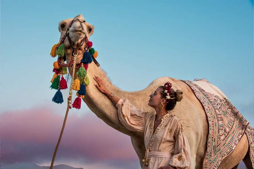 Our Camel & Dolphin Facilities Are Humane Certified™