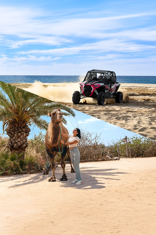 Woman with a camel and UTV on the beach, blending adventure and nature in Cabo San Lucas.