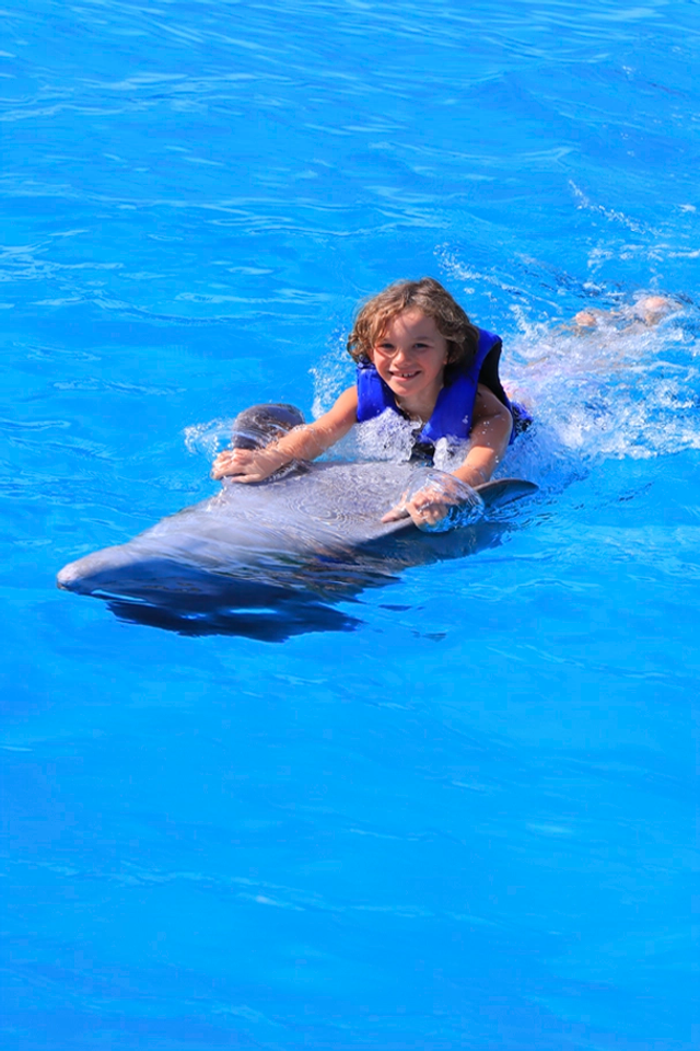 Girl enjoying a dolphin swim experience in Cabo San Lucas.