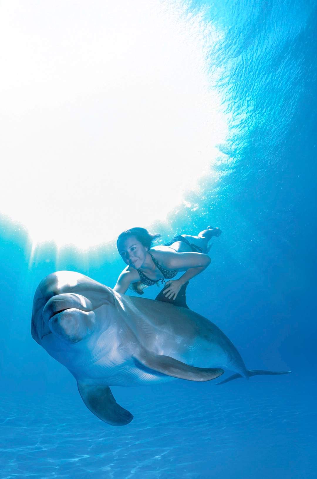 Woman swimming alongside a dolphin in clear blue water, illuminated by sunlight from above.