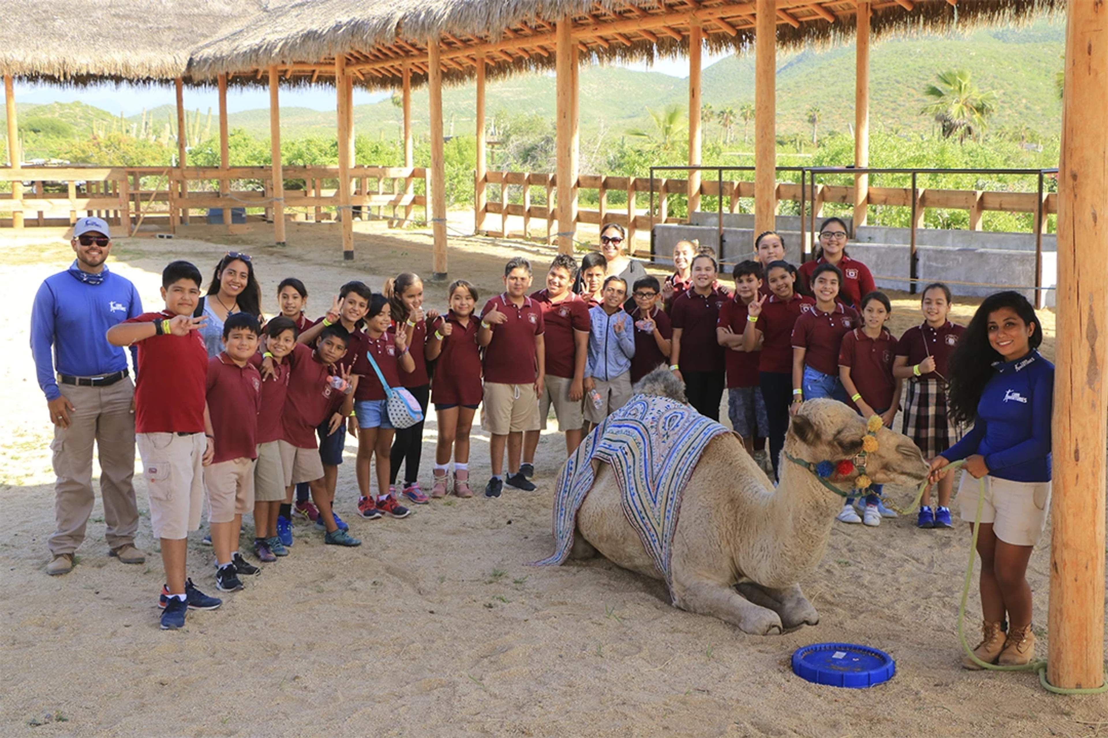 A group of children smiles next to a camel on an educational tour, guided by the Cabo Adventures team.
