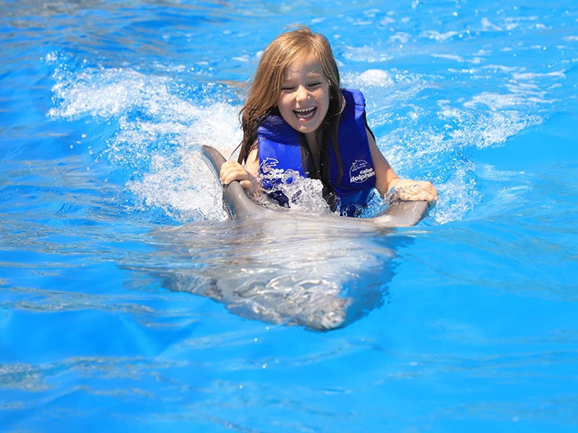 A young girl wearing a blue life vest is joyfully riding on a dolphin's back in a bright blue pool. She is smiling widely, and the water splashes around them as they move.