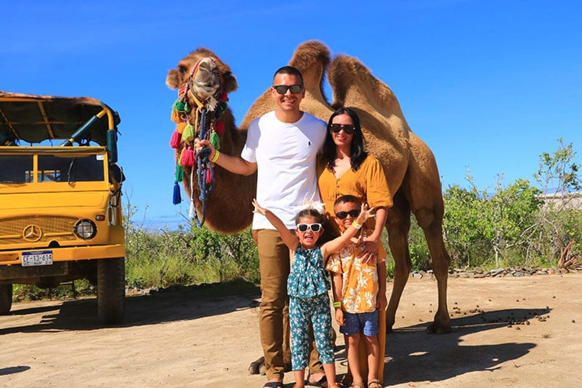 amily of four posing next to a decorated camel