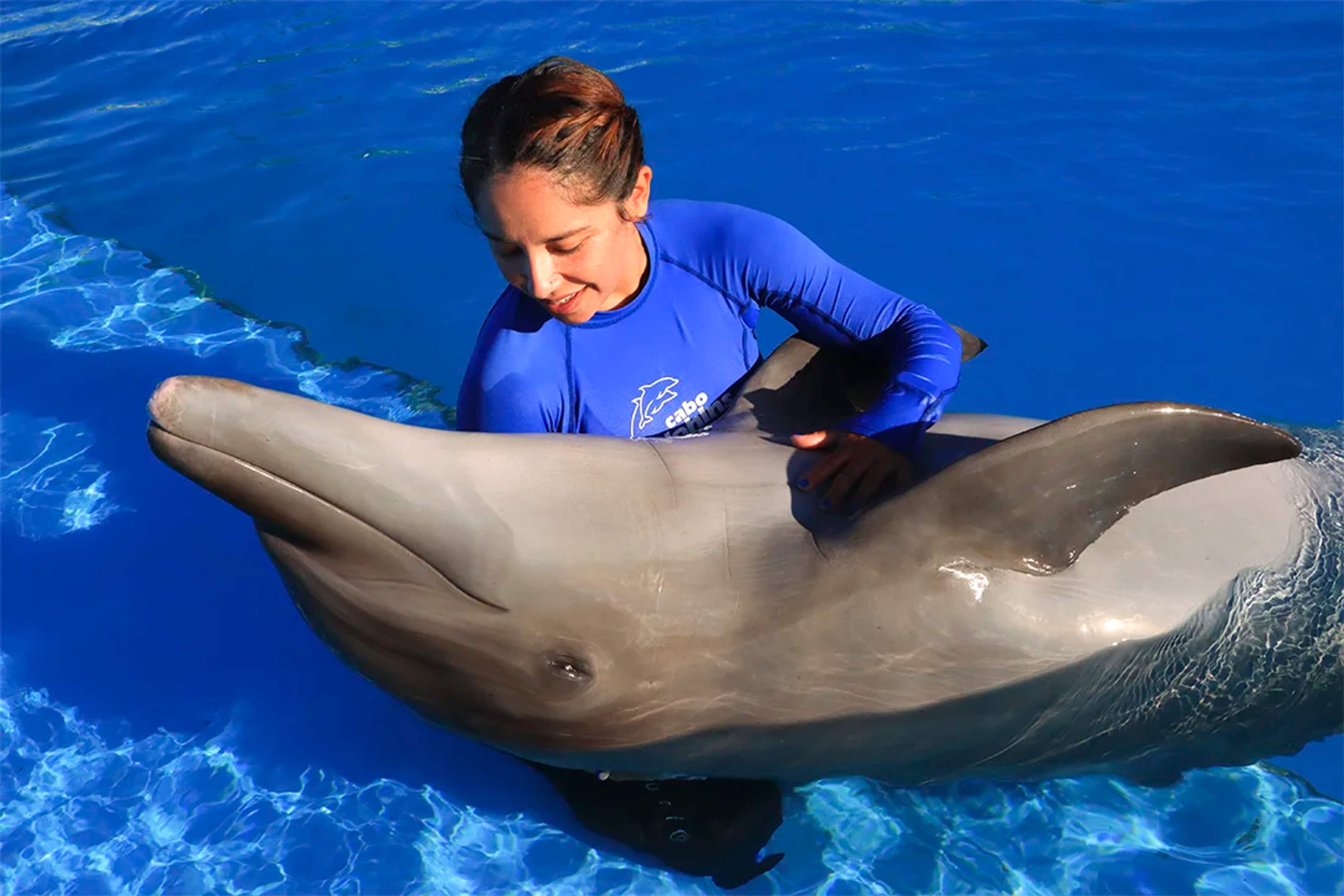 Woman in a blue shirt gently holds a dolphin in a pool, both appearing calm and connected in the bright water.