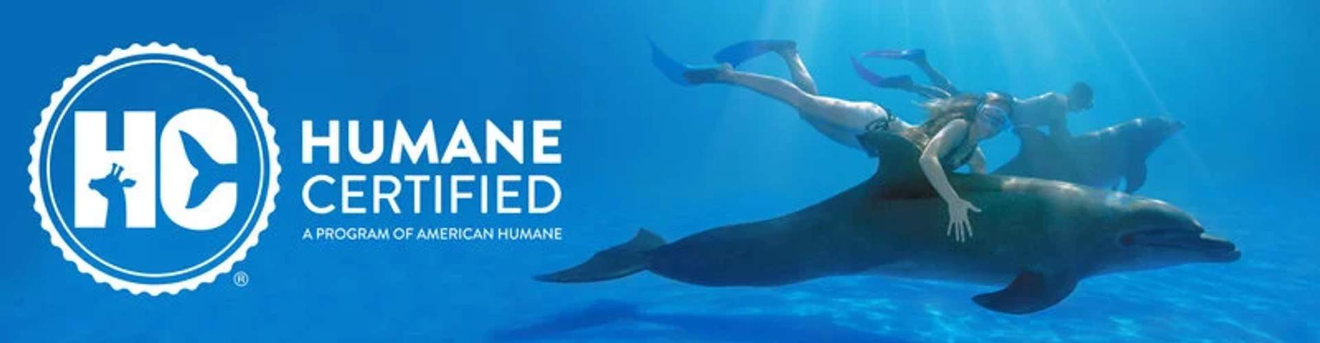 The image displays the "Humane Certified" logo, a program of American Humane, on the left side. On the right, a person is swimming underwater alongside a dolphin, showcasing a harmonious interaction between humans and animals. The logo features a stylized "HC" with animal silhouettes.