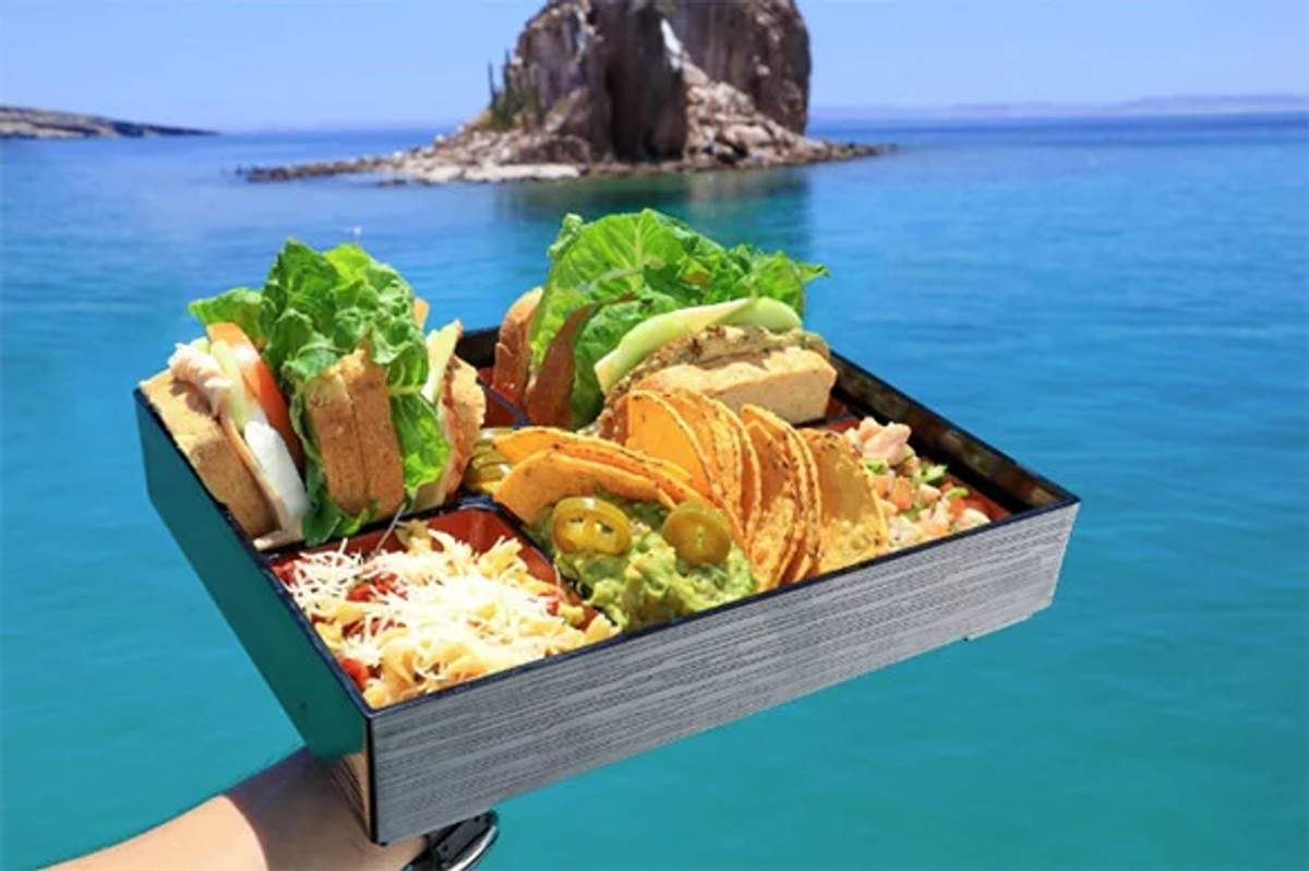A hand holding a bento box with sandwiches, tacos, guacamole, and cheese, with blue ocean water and a rock formation in the background.