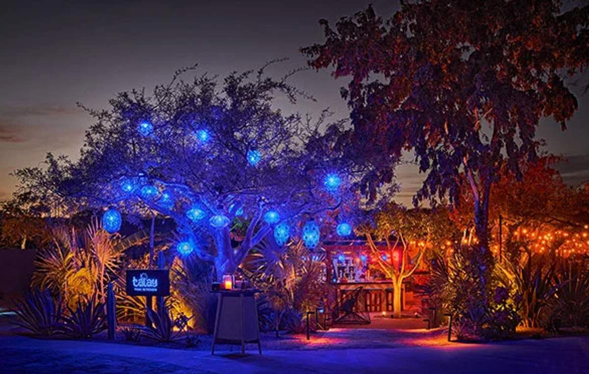 A beautifully lit outdoor restaurant at night, with blue lanterns hanging from trees and a warm, inviting ambiance.