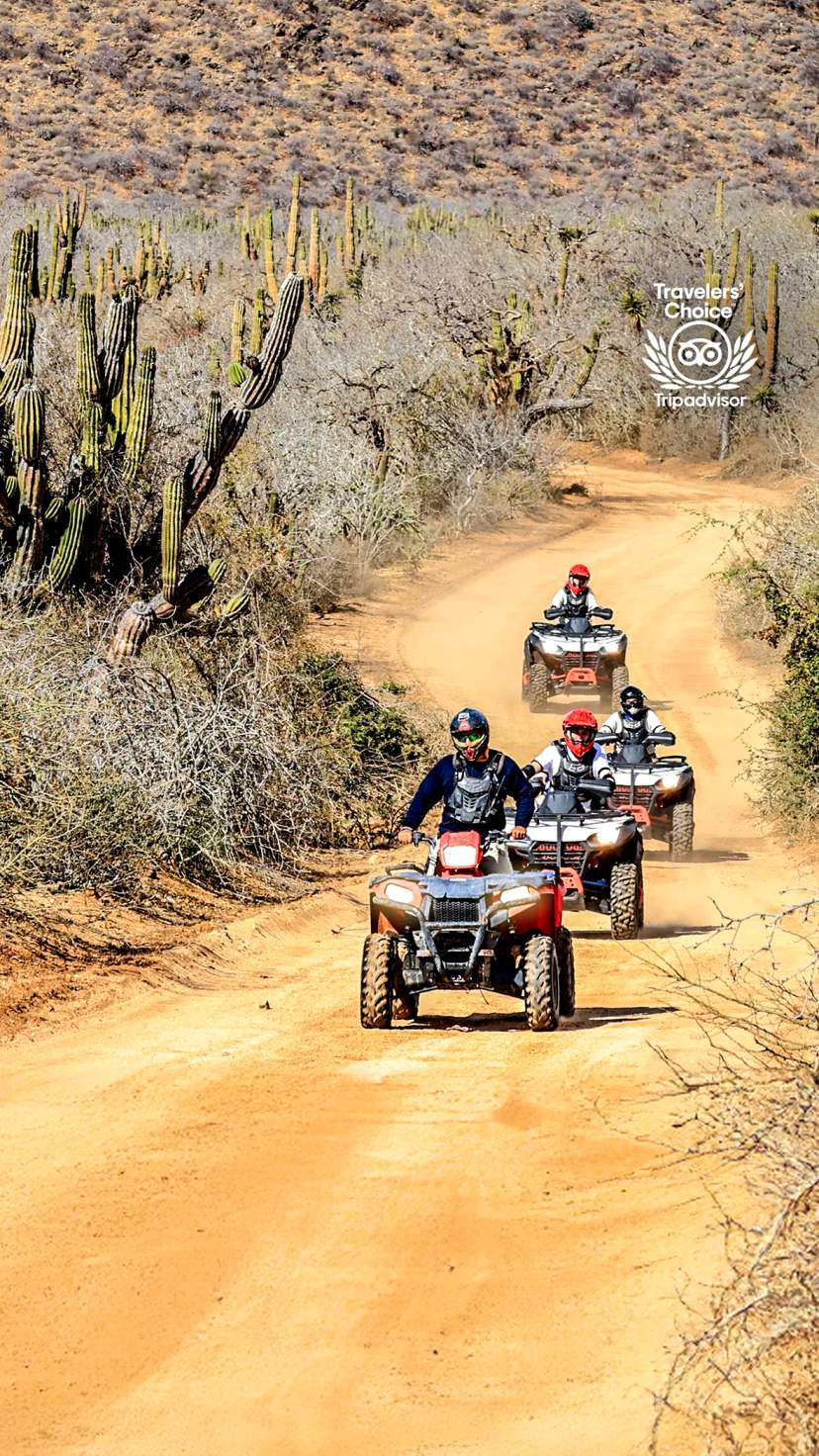Experience the thrill of Adventure Tour in Los Cabos, riding ATVs through scenic desert landscapes