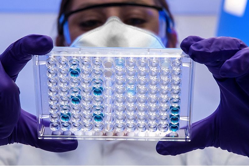 Double-stranded RNA (dsRNA) ELISA Kit (J2 based)