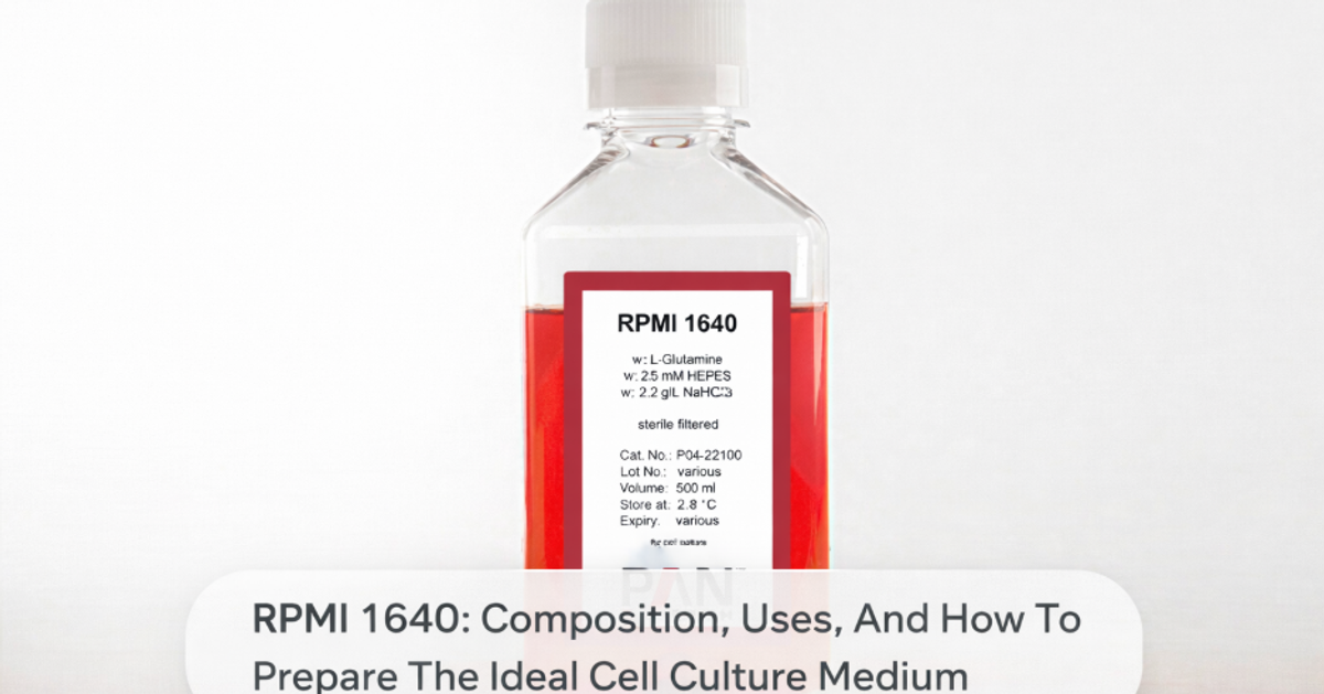 RPMI 1640: Composition, Uses, And How To Prepare The Ideal Cell Culture ...