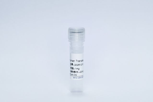 Recombinant Human Transferrin Protein 