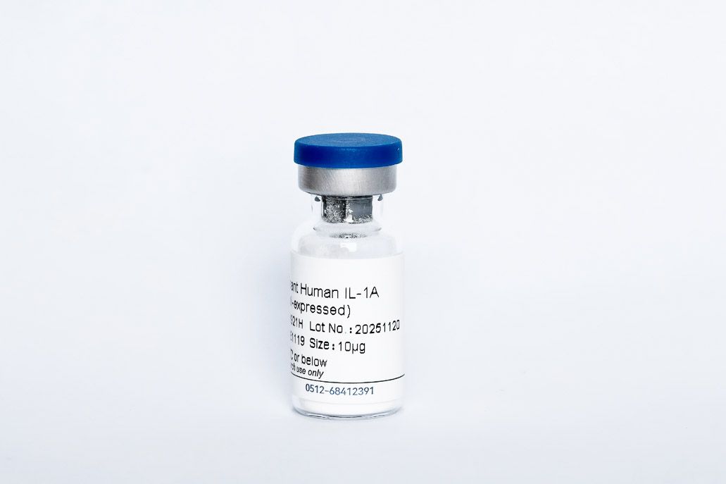 Human TNF-alpha Recombinant Protein, Tag Free