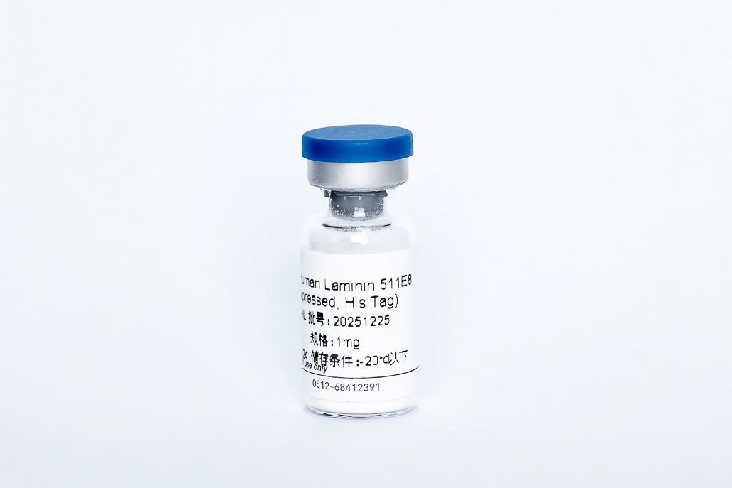 Recombinant Human Laminin511 E8 