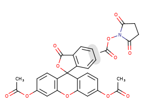 Carboxyfluorescein succinimidyl ester (CFSE)