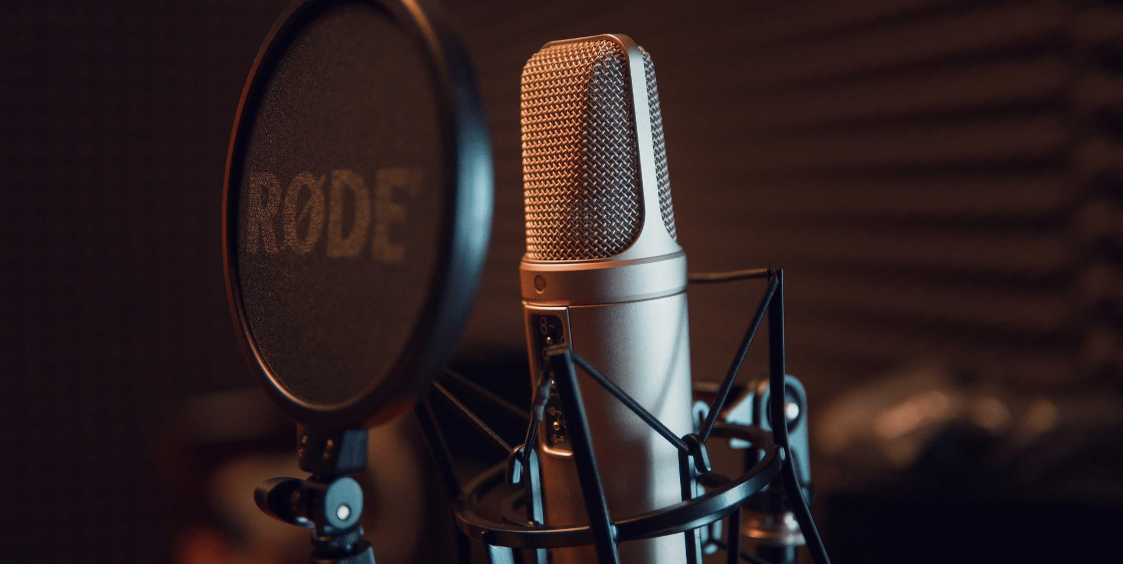 microphone with recorder for musicians